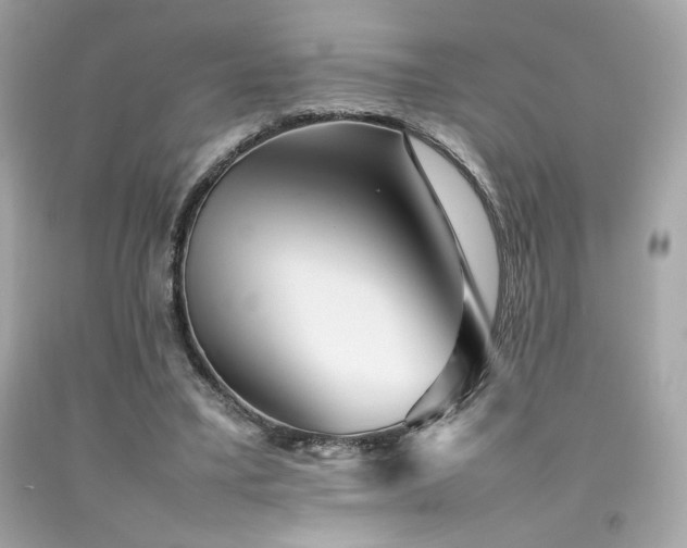 X0000092060395200709121358