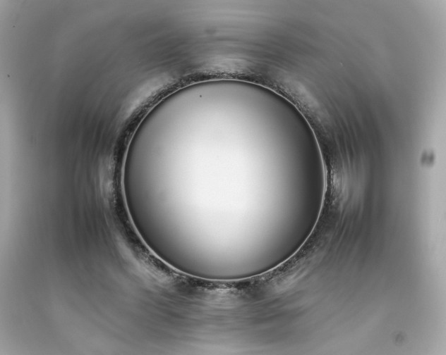X0000092060396200709121358