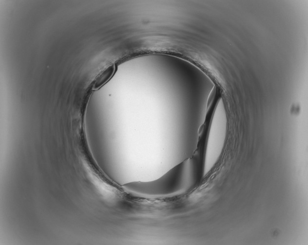 X0000092060397200709121358