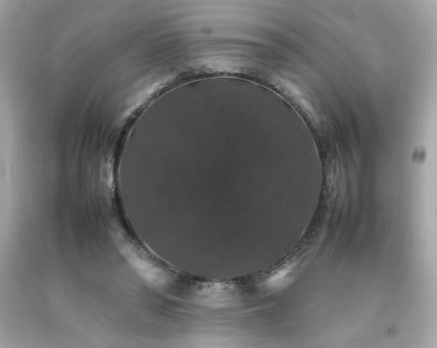 X0000092060398200709121358