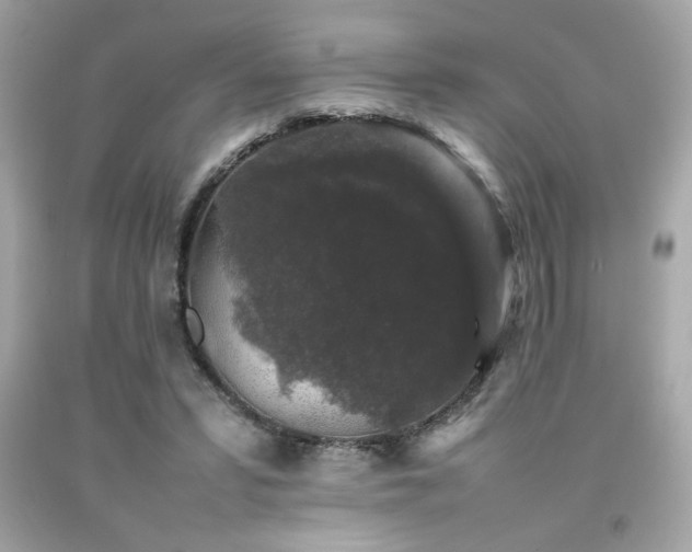 X0000092060399200709121358