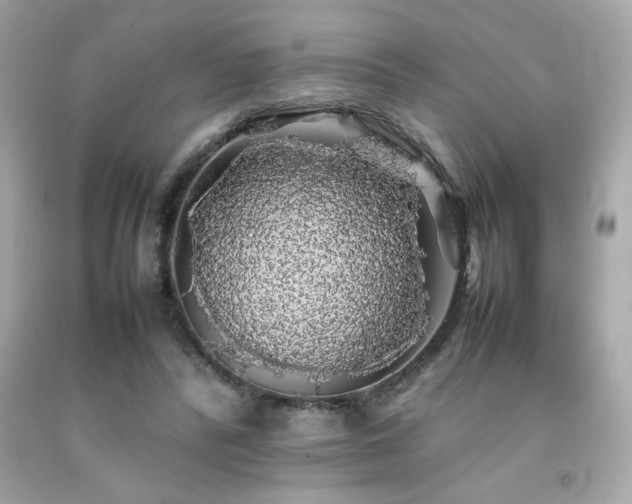 X0000092060400200709121358