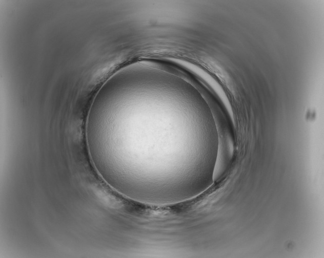 X0000092060401200709121358