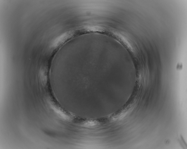 X0000092060402200709121358