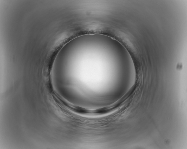 X0000092060403200709121358