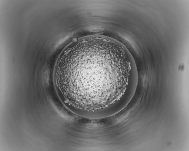 X0000092060404200709121358