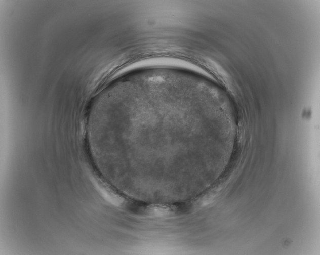 X0000092060405200709121358