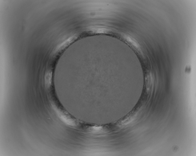 X0000092060406200709121358