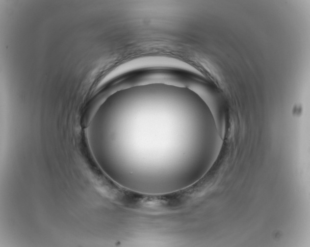 X0000092060407200709121358