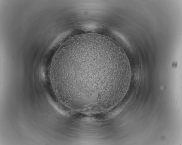 X0000092060408200709121358