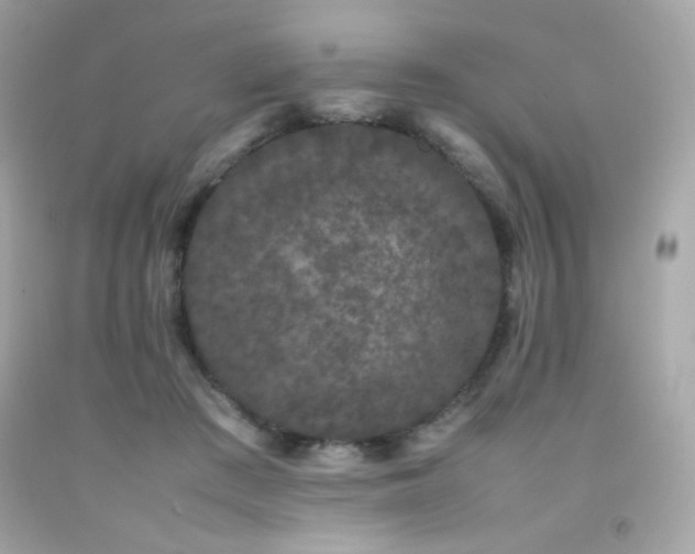 X0000092060409200709121358