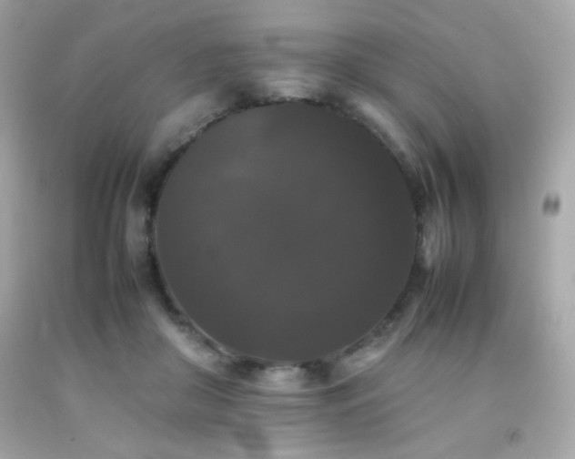 X0000092060410200709121358