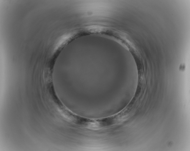 X0000092060411200709121358