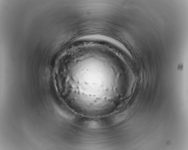X0000092060412200709121358