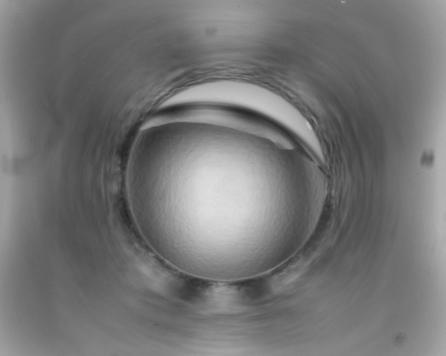 X0000092060413200709121358