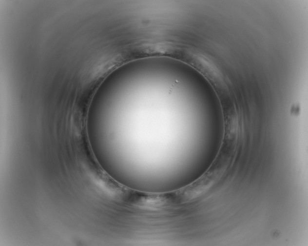 X0000092060414200709121358