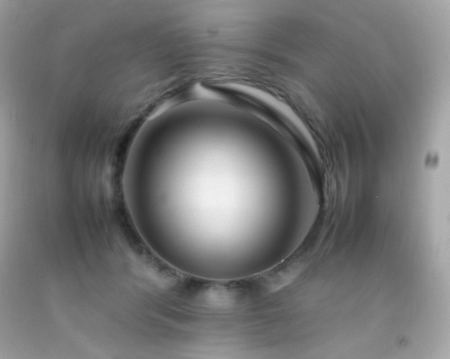 X0000092060416200709121358