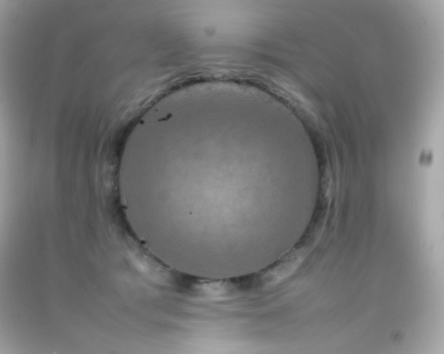 X0000092060417200709121358