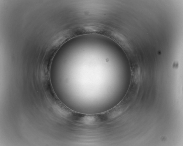 X0000092060418200709121358