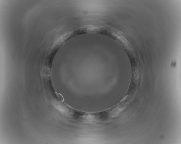 X0000092060419200709121358