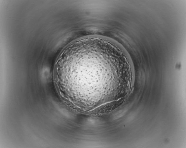X0000092060420200709121358