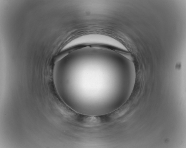 X0000092060421200709121358