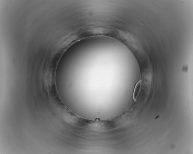 X0000092060422200709121358