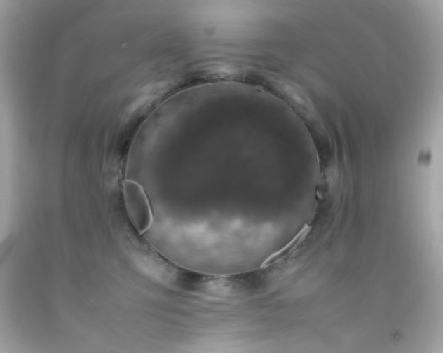 X0000092060423200709121358
