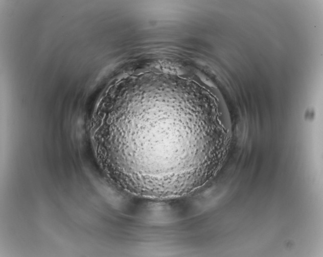 X0000092060424200709121358