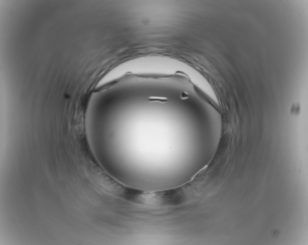 X0000092060425200709121358