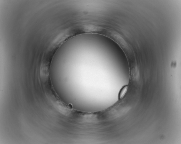 X0000092060426200709121358