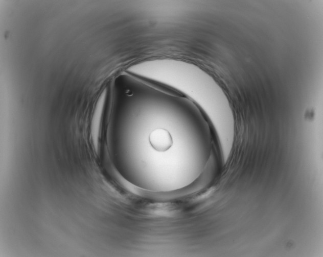 X0000092060428200709121358
