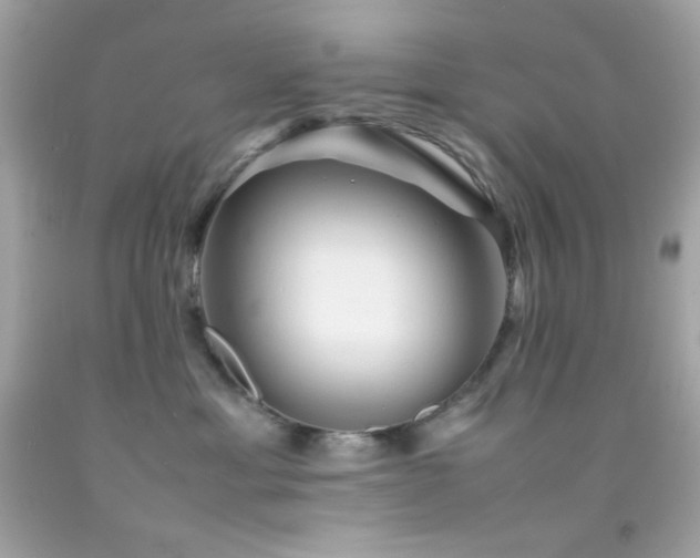 X0000092060429200709121358