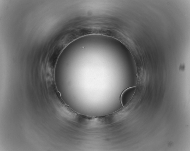 X0000092060430200709121358