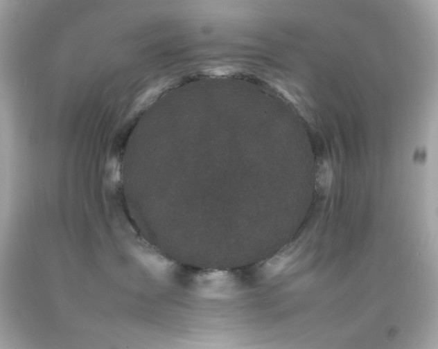 X0000092060431200709121358