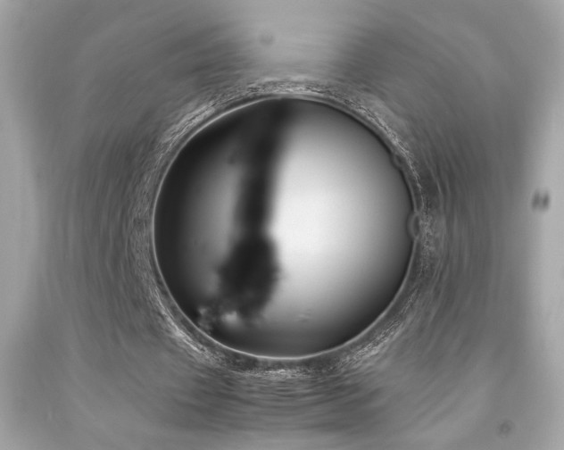 X0000092060433200709121357
