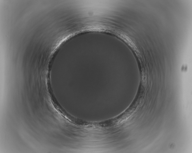X0000092060434200709121357