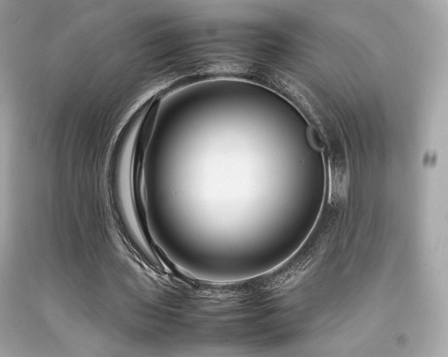 X0000092060435200709121357