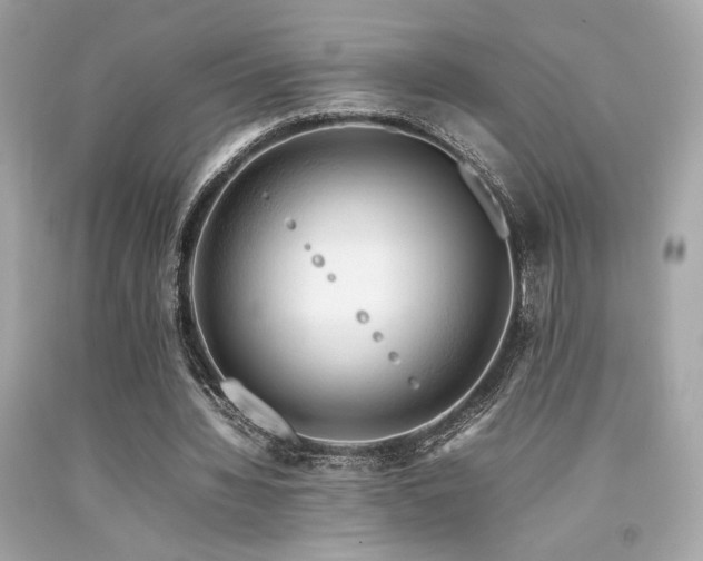 X0000092060436200709121357