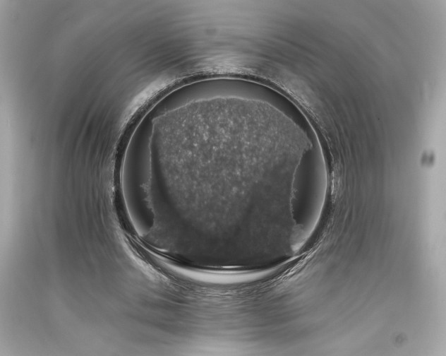 X0000092060438200709121357