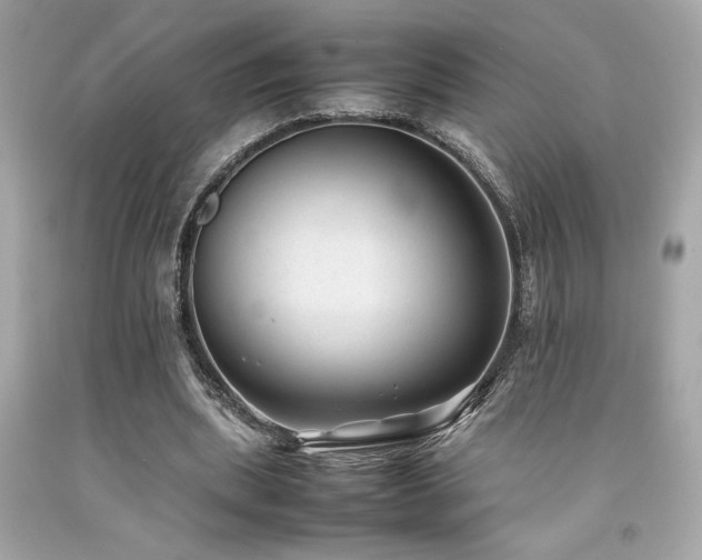X0000092060439200709121357