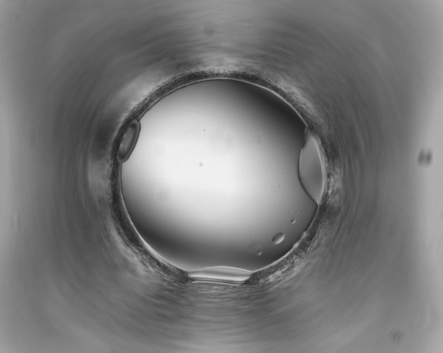 X0000092060440200709121357