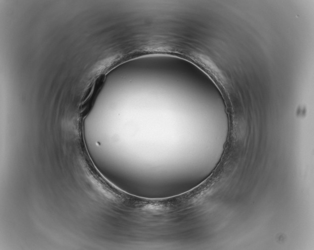 X0000092060441200709121357