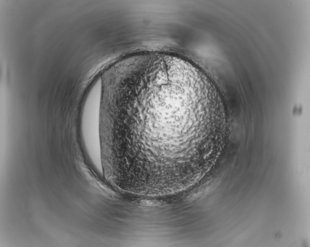 X0000092060442200709121357