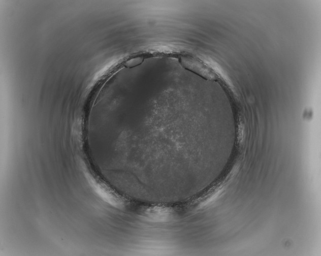 X0000092060444200709121357
