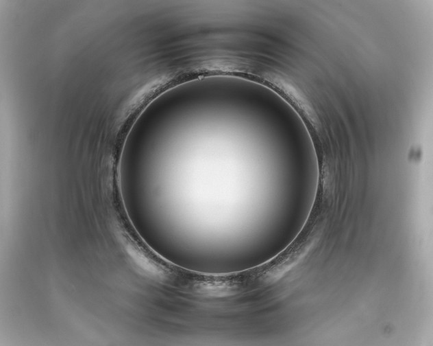 X0000092060445200709121357
