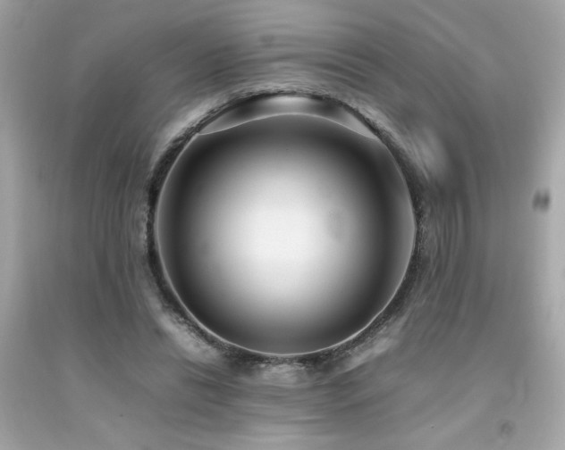 X0000092060446200709121357