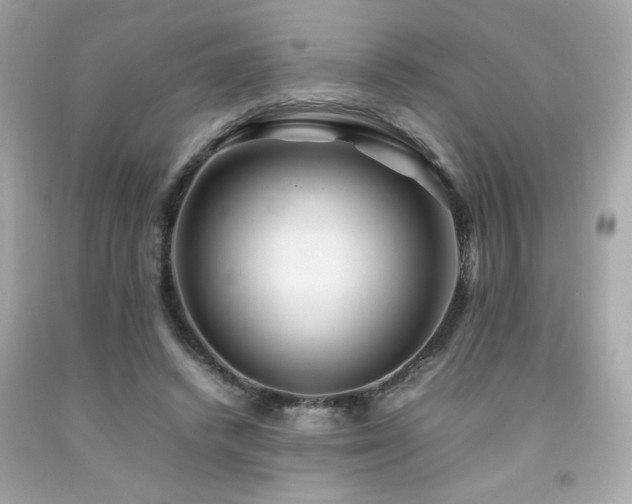 X0000092060448200709121357
