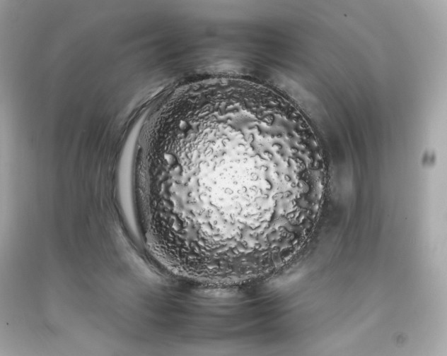 X0000092060449200709121357