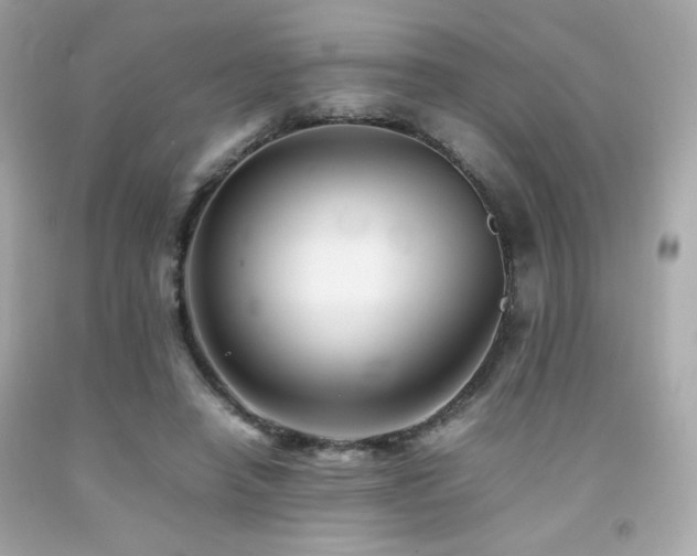 X0000092060450200709121357